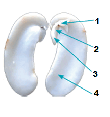 09018rzf-7812-217x230.png