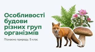 Презентація: Особливості будови різних груп організмів