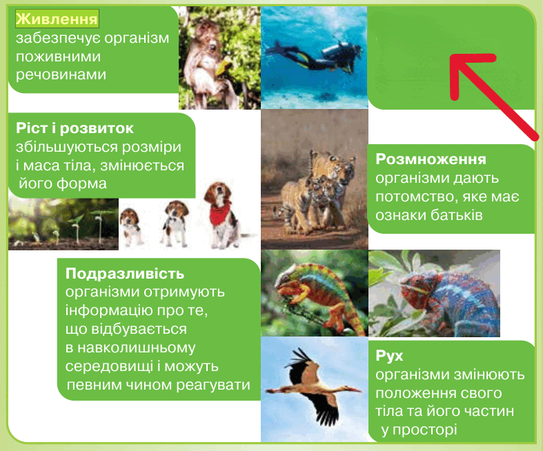 09018sxk-4bda-787x654.png