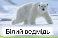 09018syj-7884-200x132.png