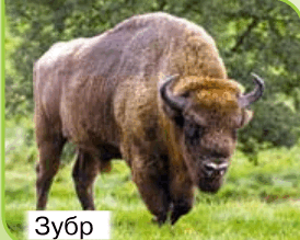 09018syk-d2b5-274x219.png