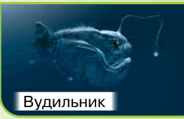 09018syl-3be5-262x170.png