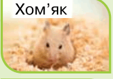 09018sym-8709-163x114.png