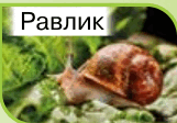 09018syt-6ebd-161x112.png