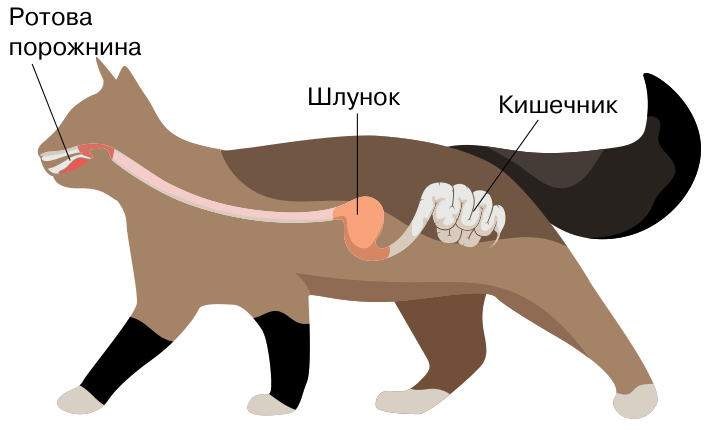 09018szd-38ef-724x430.png