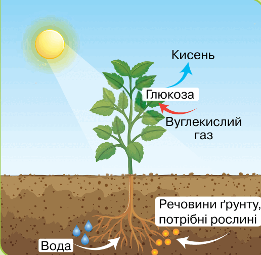 09018szo-b4d5-516x504.png