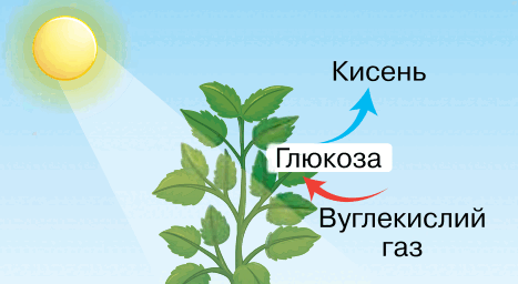 09018szp-3bd6-467x256.png