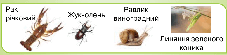 09018t0a-a25b-777x188.png