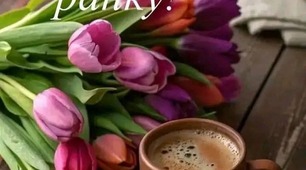 Цитата дня