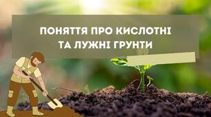 Презентація на тему "ПОНЯТТЯ ПРО КИСЛОТНІ ТА ЛУЖНІ ГРУНТИ"