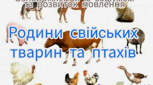 Ознайомлення з навколишнім (Родини свійських тварин та птахів)