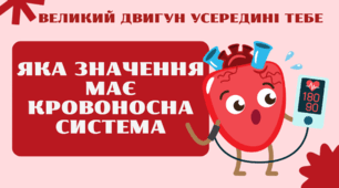 Яке значення має кровоносна система.