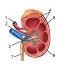 09019130-0303-124x132.png
