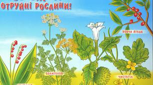 Отруйні рослини ВОЛИНІ