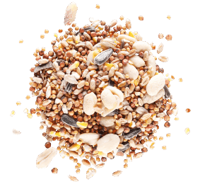 КОРМ ДЛЯ ДИКИХ ПТАХІВ - SEEDCO