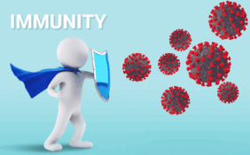 090192x1-2b3a-282x175.png