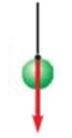 09019368-2451-102x196.png