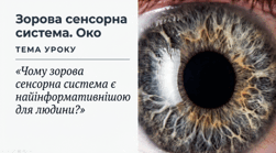 Зорова сенсорна система. Око