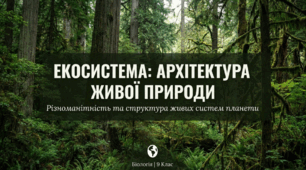 Екосистема. Різноманітність екосистем.