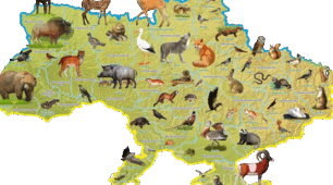 Природні зони України