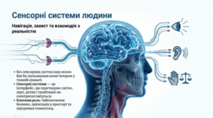 Сенсорні системи рівноваги, руху, дотику, температури, болю. 8 клас НУШ