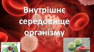 Діагностувальна робота з теми: "Внутрішнє середовище організму"