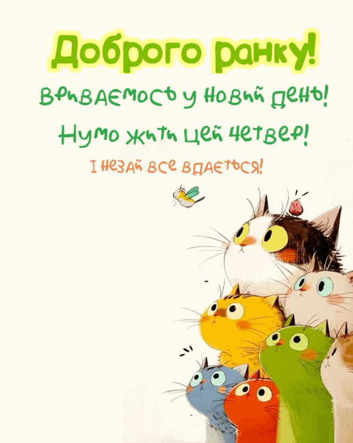 090198en-fdee-516x647.png