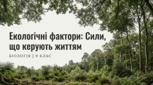 Біотичні, абіотичні та антропічні (антропогенні, техногенні) фактори.