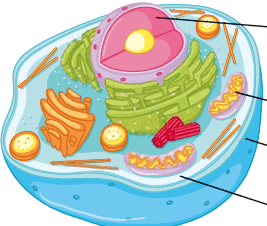 09019bnt-7e09-267x226.png