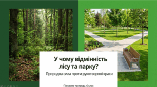 У чому відмінність лісу та парку. 6 клас НУШ