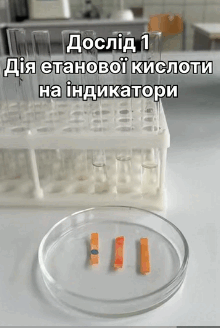 09019ccw-291e-220x328.png