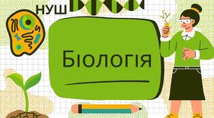 Контрольна робота з теми Внутрішнє середовище організму. Дихання.
