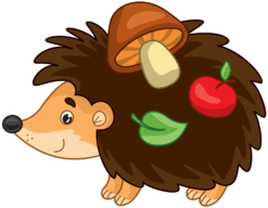 09019jd6-7073-247x192.png