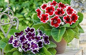 09019k9h-0a35-280x180.jpg