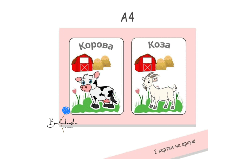 09019m6o-a7e3-940x618.png