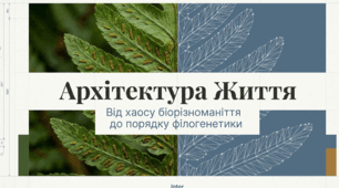 Презентація "Основи еволюційної філогенії та систематики"