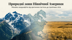 Конспект, презентація, інфографіка до уроку в 7 класі по темі "Природні зони Північної Америка"