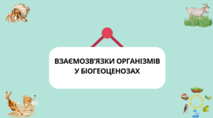 Презентація з біології для 11 класу на тему «Взаємозв’язки організмів у біогеоценозах» 🌿