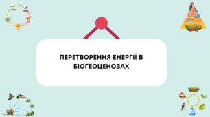 Презентація з біології для 11 класу на тему «Перетворення енергії в біогеоценозах» 🌿