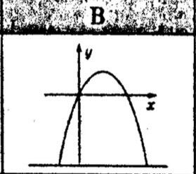 09019w48-0075-279x248.jpg