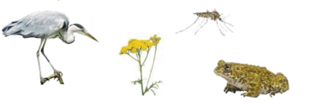 09019wkt-cac7-641x211.png