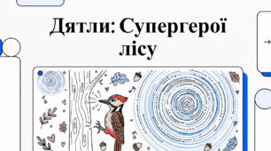 Всебічний огляд родини дятлових. Світ дятлів: біологія, звички та дивовижні факти