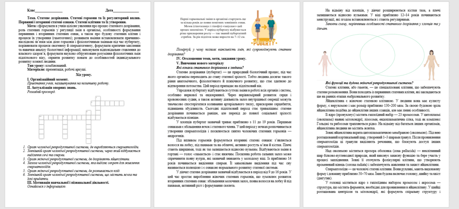 09019wmq-b8e8-940x429.png