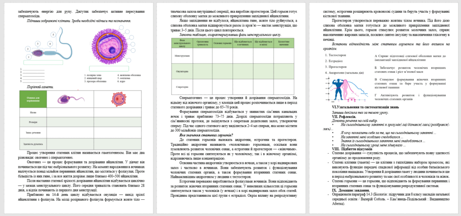 09019wmt-fdf4-940x440.png