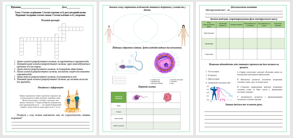 09019wmx-213a-940x442.png
