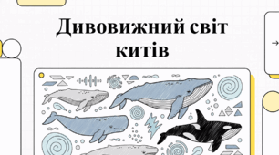 Дивовижний світ китів