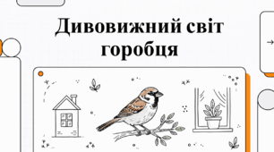 Дивовижний світ горобця