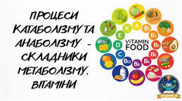 28. Процеси катаболізму і анаболізму – складники метаболізму. Вітаміни, їхня роль в обміні речовин.