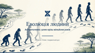 Еволюція людини: етапи та механізми