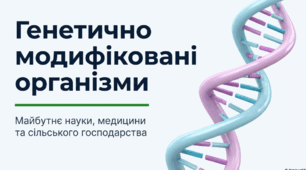 Генетично модифіковані організми